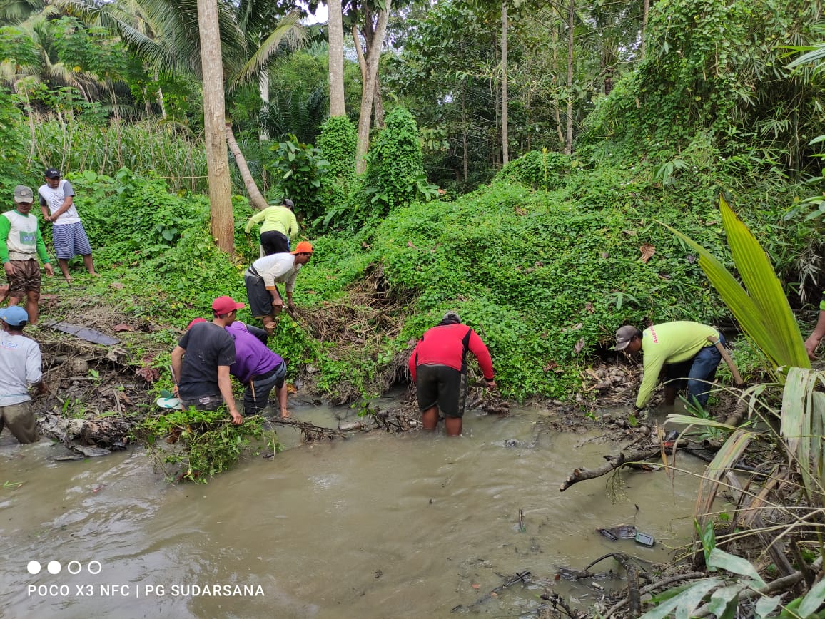 Sigap Atasi Banjir Camat Angkona Terjunkan Warga Bersihkan Saluran